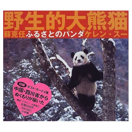 ふるさとのパンダ: 野生的大熊猫 | ケレン スー |本 | 通販 | Amazon